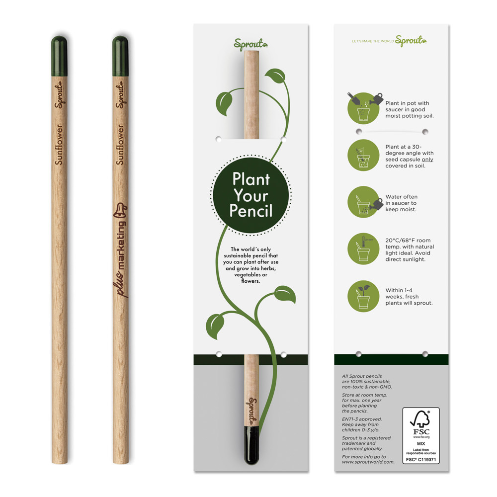 Sprout | Pencil