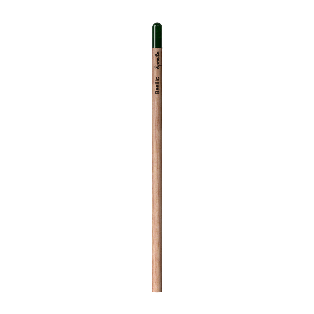 Sprout | Pencil