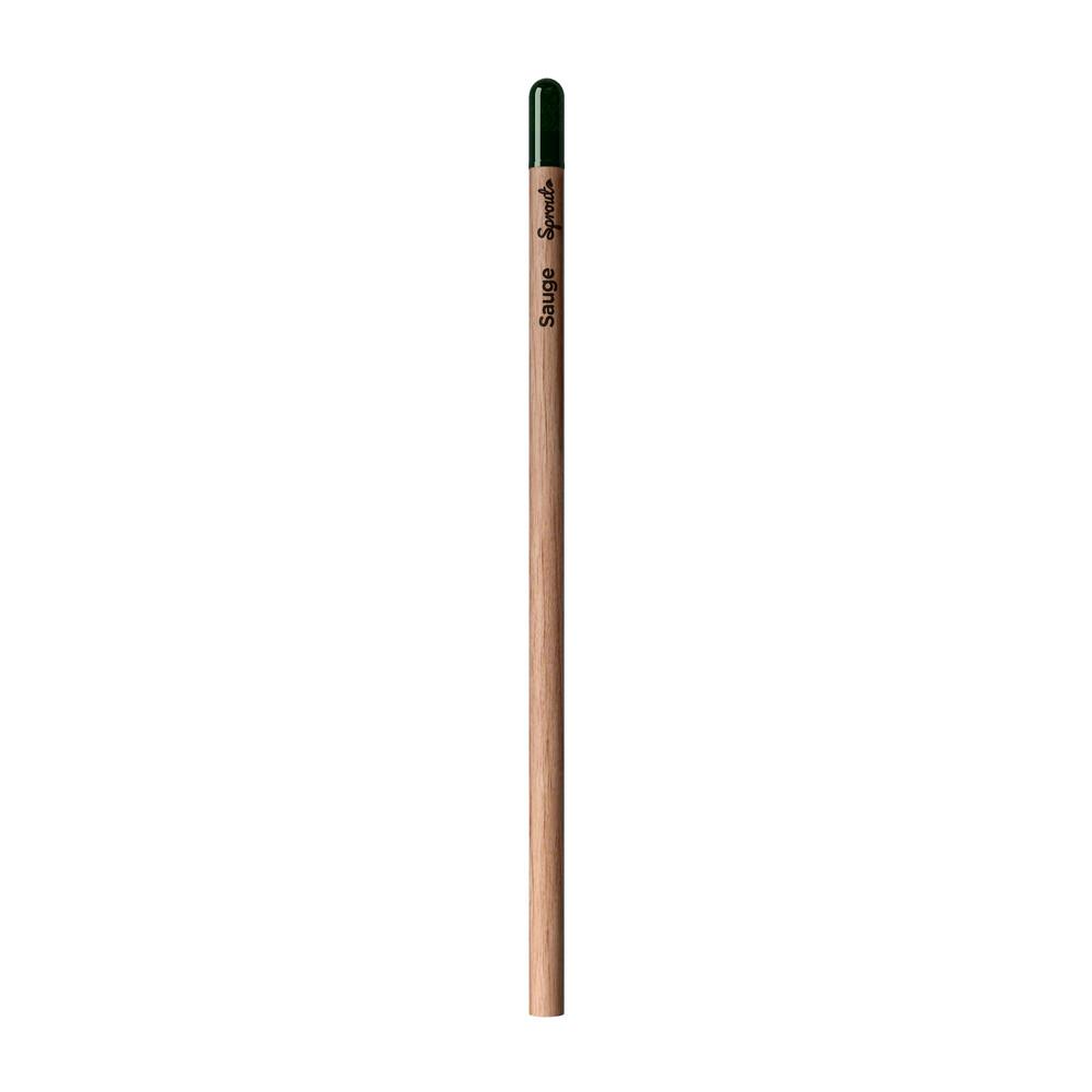 Sprout | Pencil - Sage Written In French