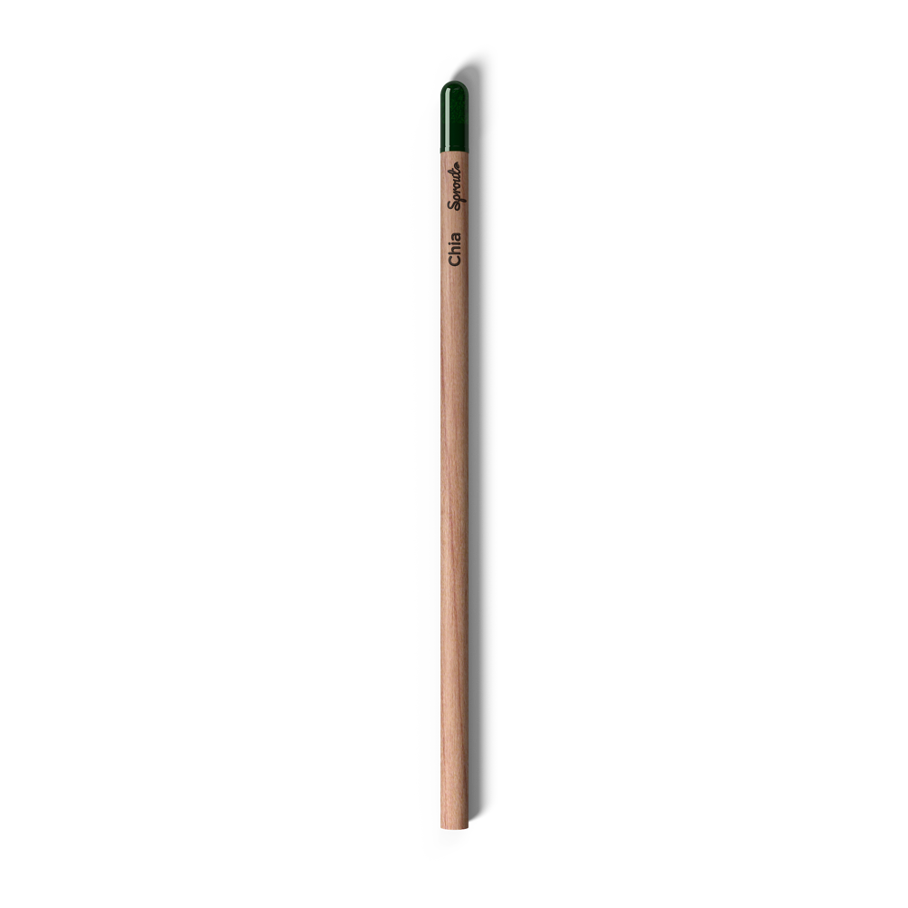 Sprout | Pencil